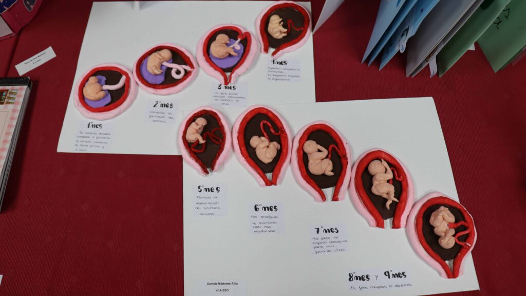 Proyectos personales PAI a cargo de alumnos de 4º ESO de Casvi Villaviciosa