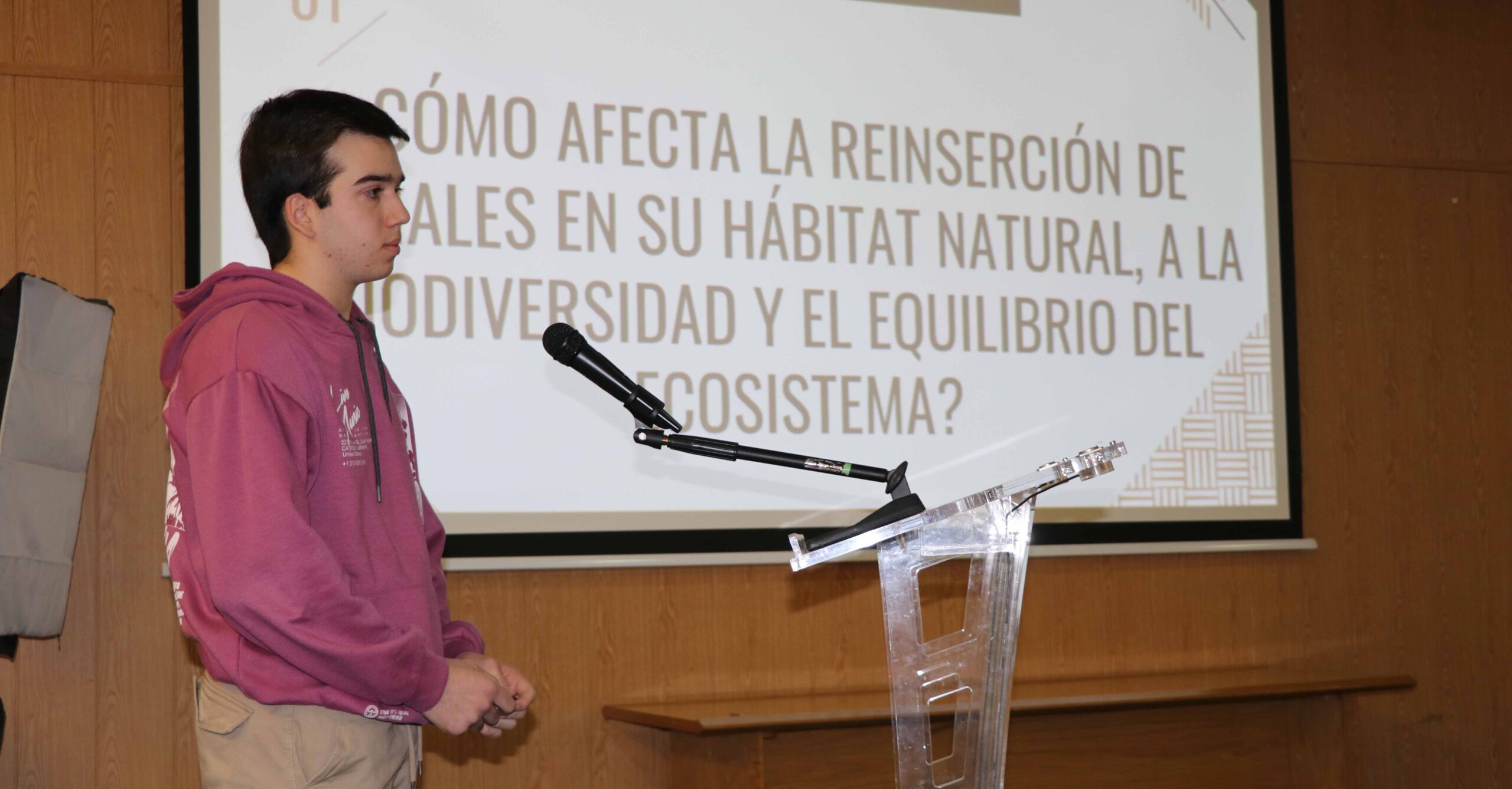 Elaboración de las monografías por los alumnos del Programa Diploma de Bachillerato Internacional en Casvi Villaviciosa