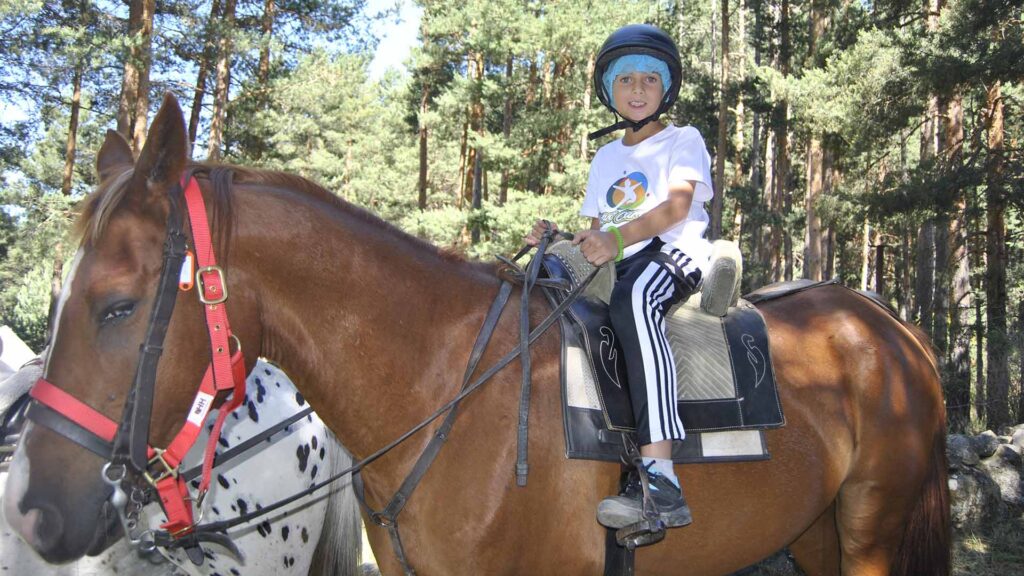 Actividades del Campamento de verano en inglés Casvi Camp Naturaleza