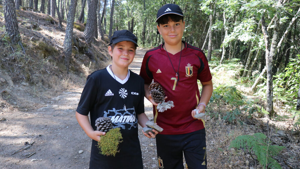 Casvi Camp Naturaleza