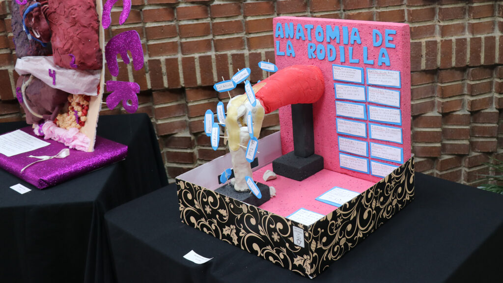 MYP Personal Projects carried out by Year 10 pupils at Casvi Villaviciosa