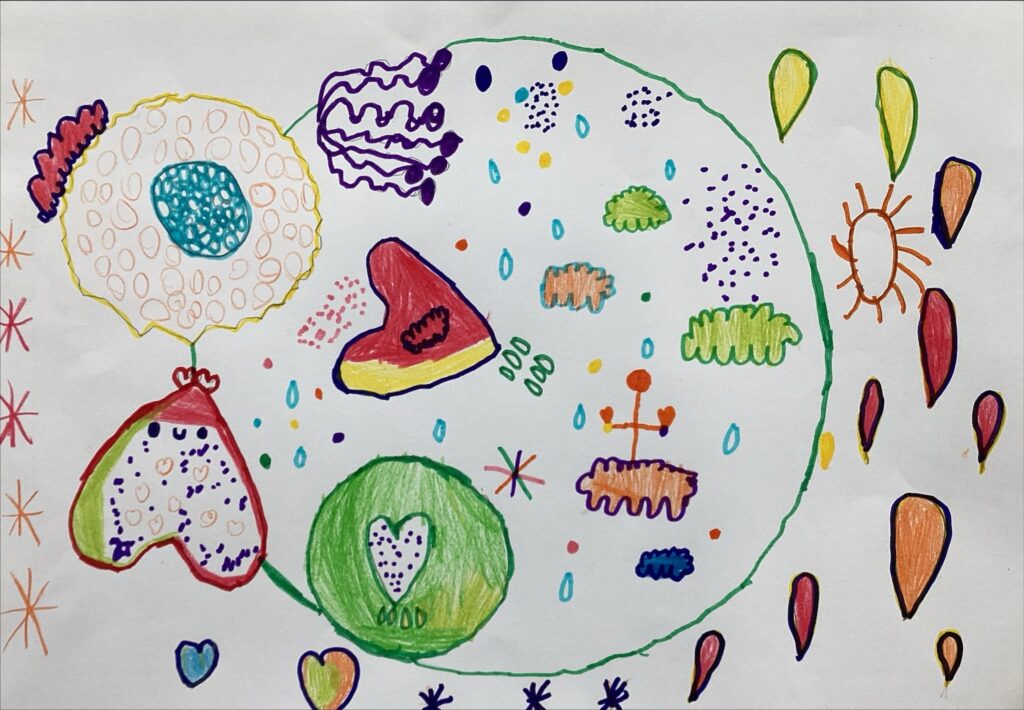 Trabajo finalista del Concurso de Creatividad de Casvi Villaviciosa