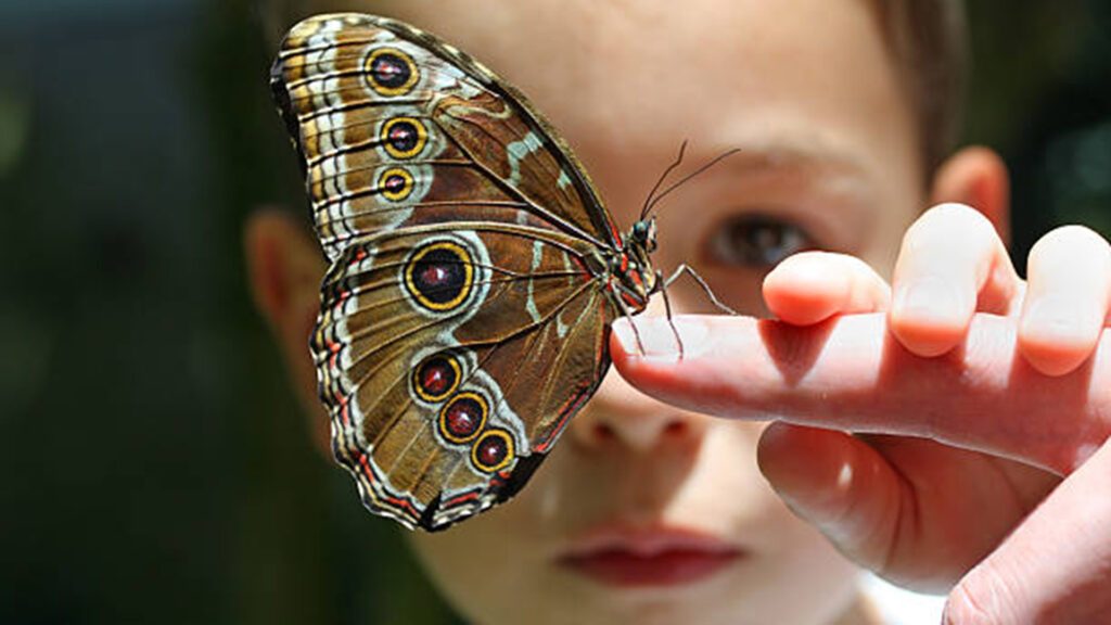 Cómo despertar la curiosidad científica en los niños