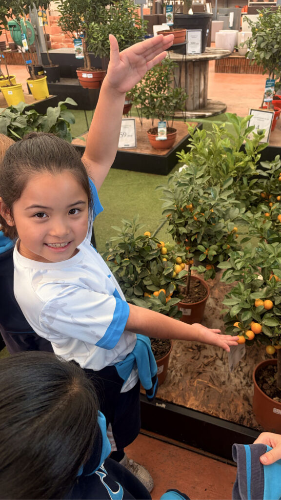 Educación ambiental en Casvi Villaviciosa